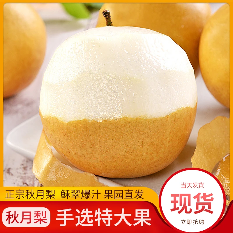 山东莱阳秋月梨脆甜多汁新鲜水果应季香梨雪梨