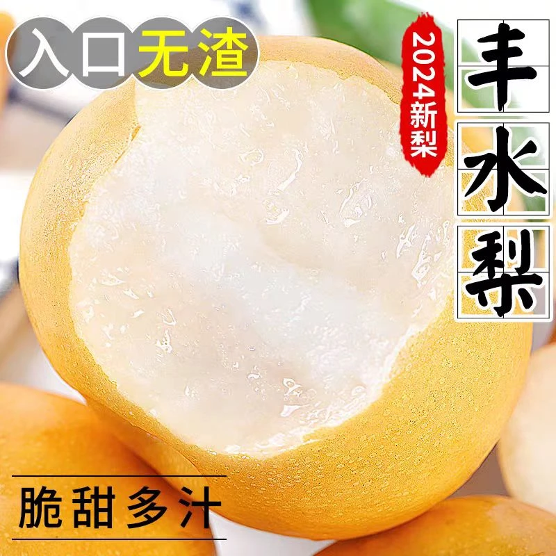山东丰水梨新鲜水果冰糖梨细腻无渣当季现摘脆甜多汁坏果包赔