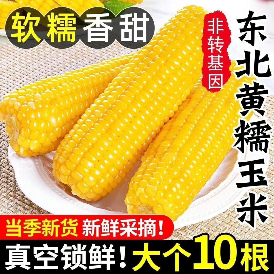 东北糯玉米黄糯粘黏新鲜真空棒包邮非转代减餐玉米新鲜糯玉