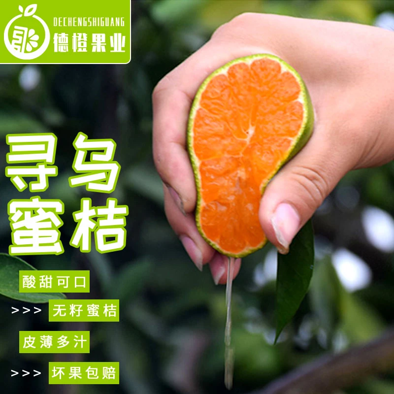 优质产地发货酸甜爽口新鲜采摘甄选赣南蜜桔寻乌蜜桔青皮橘子桔子