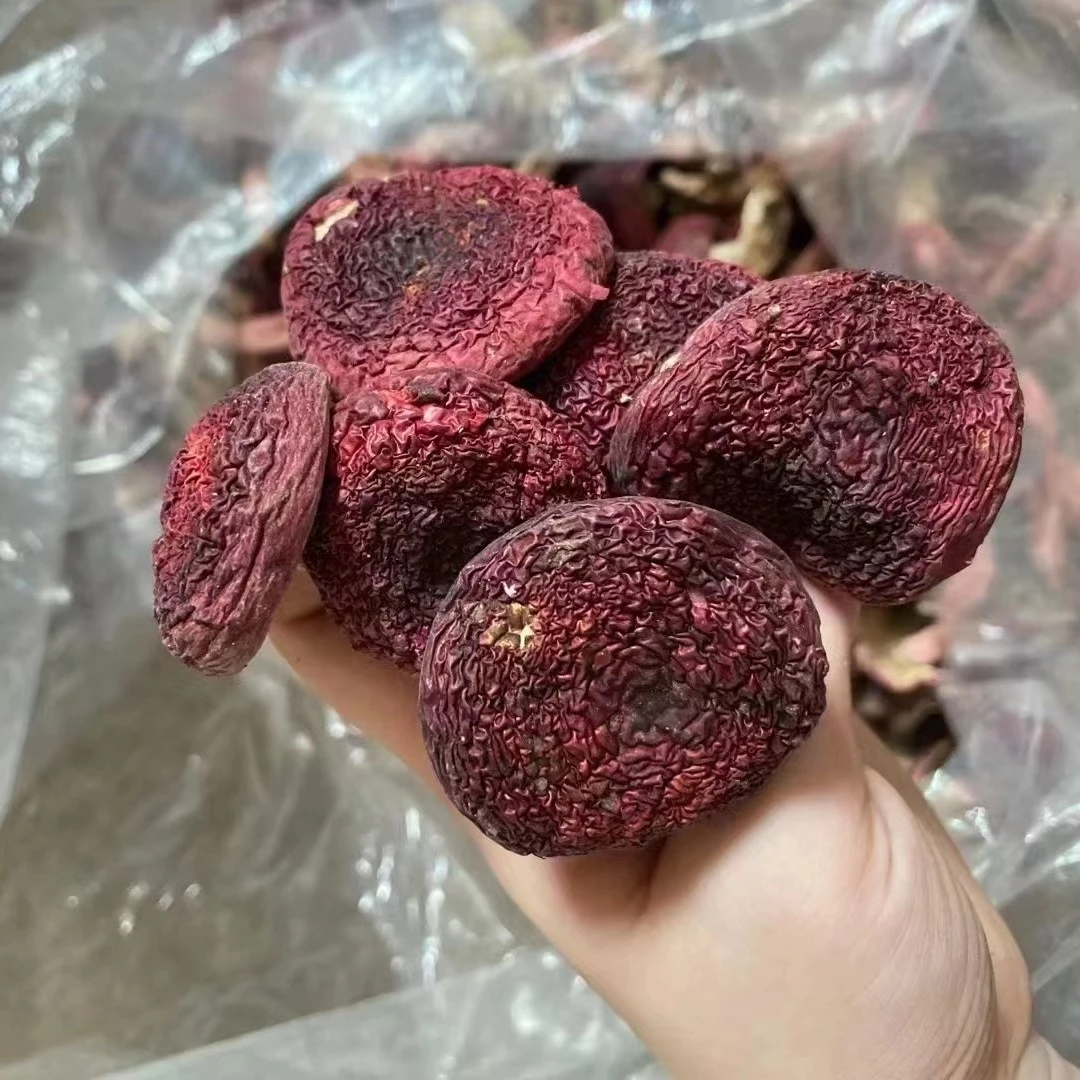 福建野生红菇特级500g干货产妇月子菌菇煲汤炖汤新货红椎菌