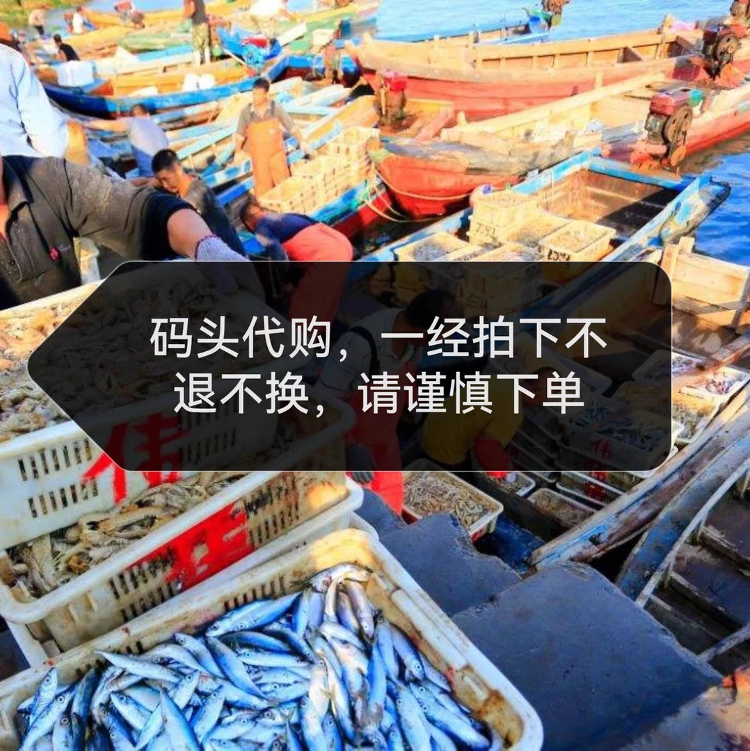 博贺渔港现场代购包鲜包肥不包活