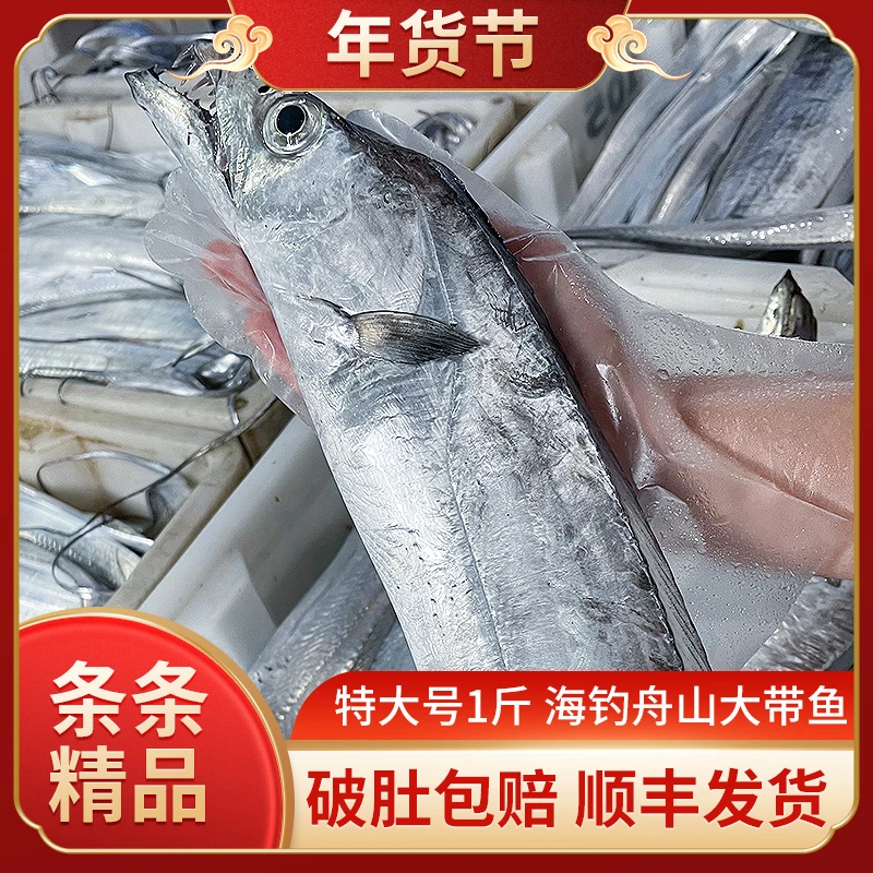 巨无霸1斤左右/条可蒸可煮舟山新鲜东海小眼睛海钓鲜带鱼可蒸可煮