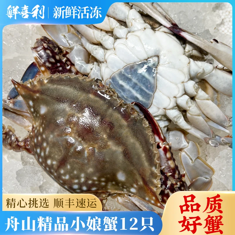 舟山梭子蟹母蟹精品小娘蟹12只黑三角3两3.5斤顺丰冷运【冻蟹】