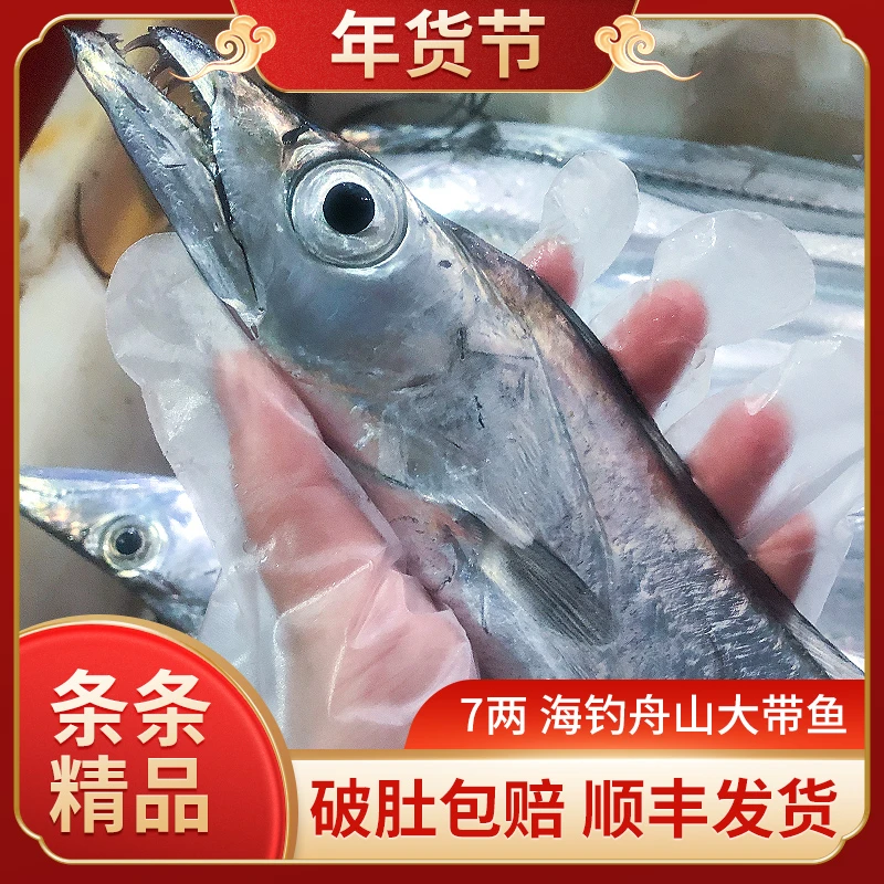 特大号带鱼7两/条可蒸可煮正宗舟山东海小眼海钓鲜带鱼新鲜批发