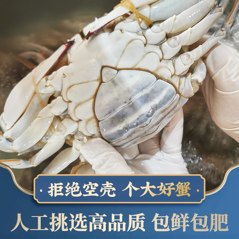 J 舟山母蟹梭子蟹3两左右/只(12只3斤左右，含赠品)不可清蒸【冻蟹】