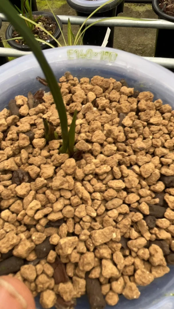 兰花种植专用土，四合一