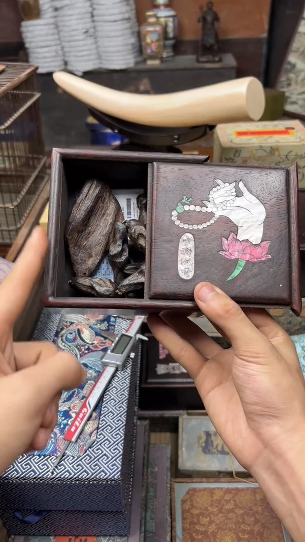 【闪购商品】木————————达拉干虫漏+盒