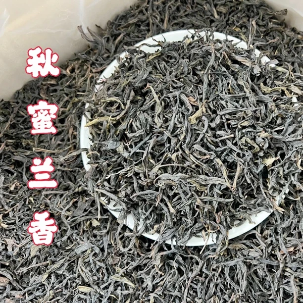 广东正宗潮州凤凰单丛茶蜜兰香口粮茶自家茶园采摘罐装500g