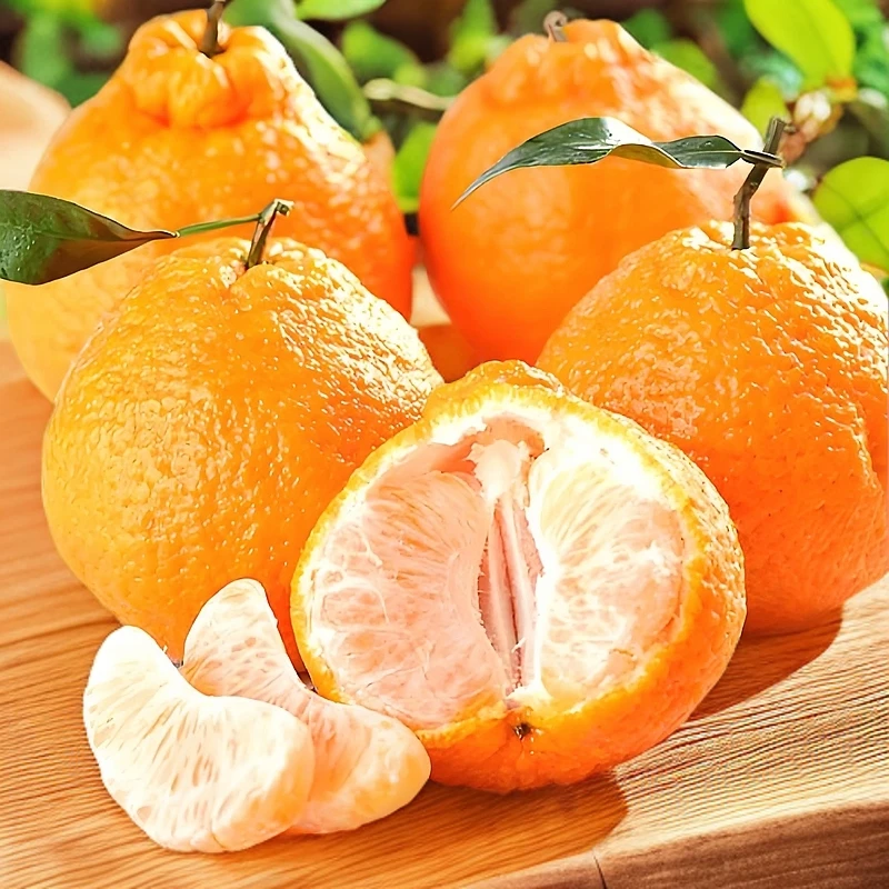 正宗四川耙耙柑新鲜水果现摘香甜爆汁整箱包邮