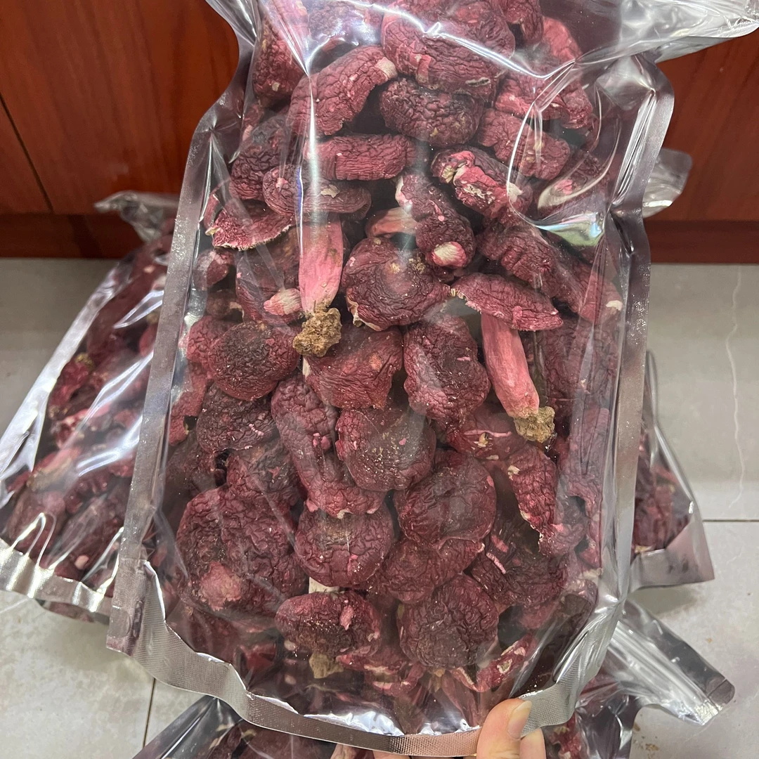 福建永安（菇脚带土）小陶正红菇蓝底统标红菇煲汤炖汤菌菇月子菇