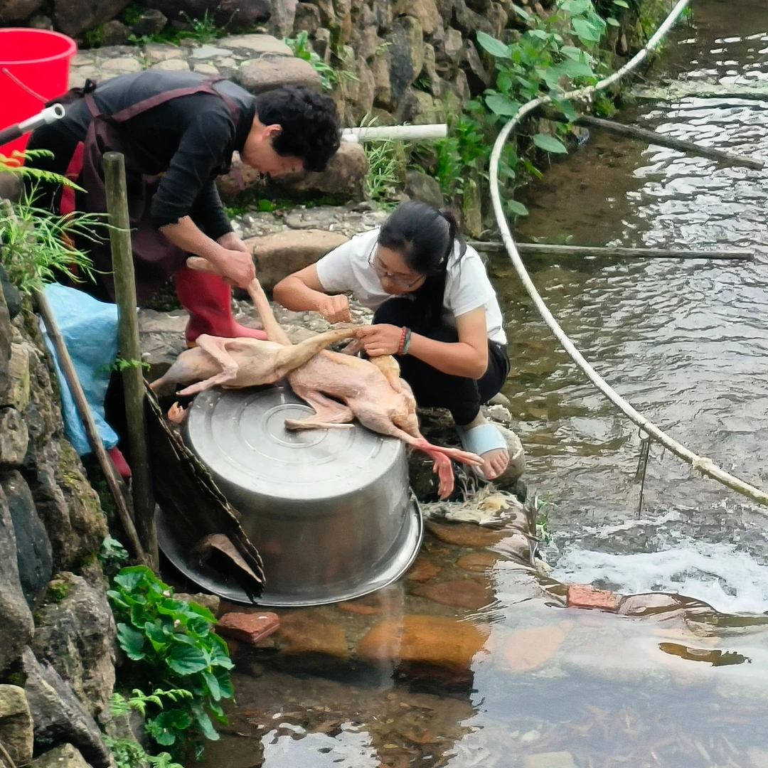 活鹅制作半只/一只岚谷熏鹅