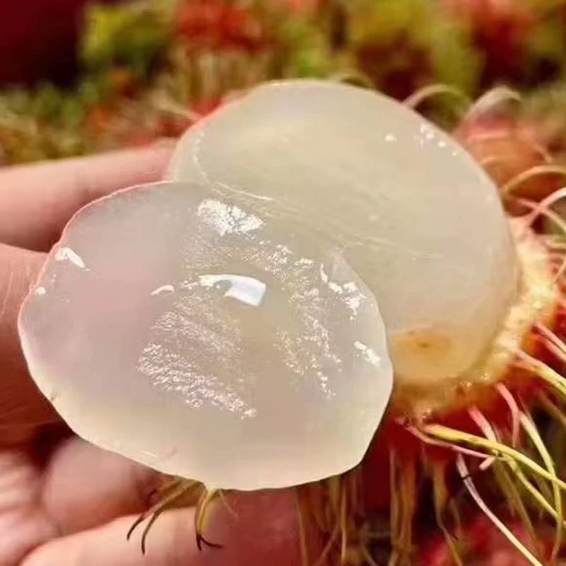 【顺丰冷链】海南保亭红毛丹毛荔枝当季现摘热带新鲜水果甜包邮