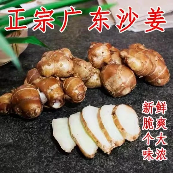 正宗广东茂名特产新鲜沙姜山奈砂姜白切鸡椰子鸡猪脚配料包邮批发