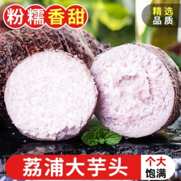 【荔浦芋头】广西荔浦新鲜大芋头小芋头正宗香芋槟榔芋现挖毛芋头
