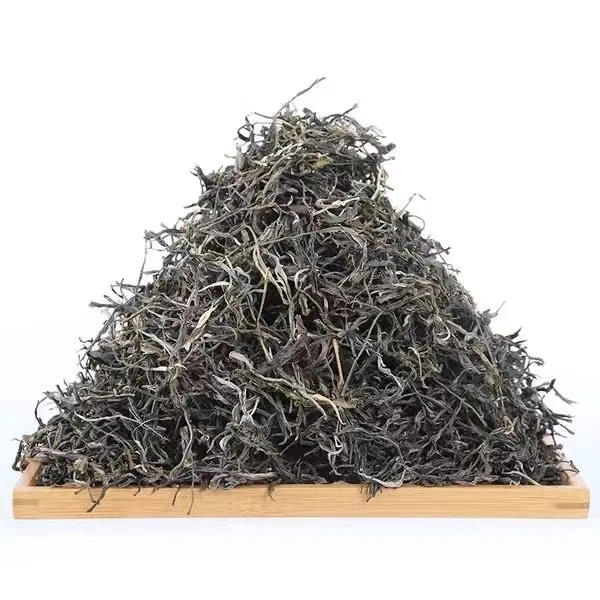 2023年正气塘（普洱生茶）散茶