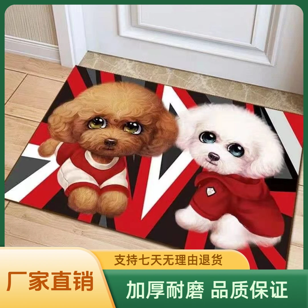 家用硅藻泥入户门门厅地垫浴室卫生间洗漱台吸水速干垫地垫脚垫