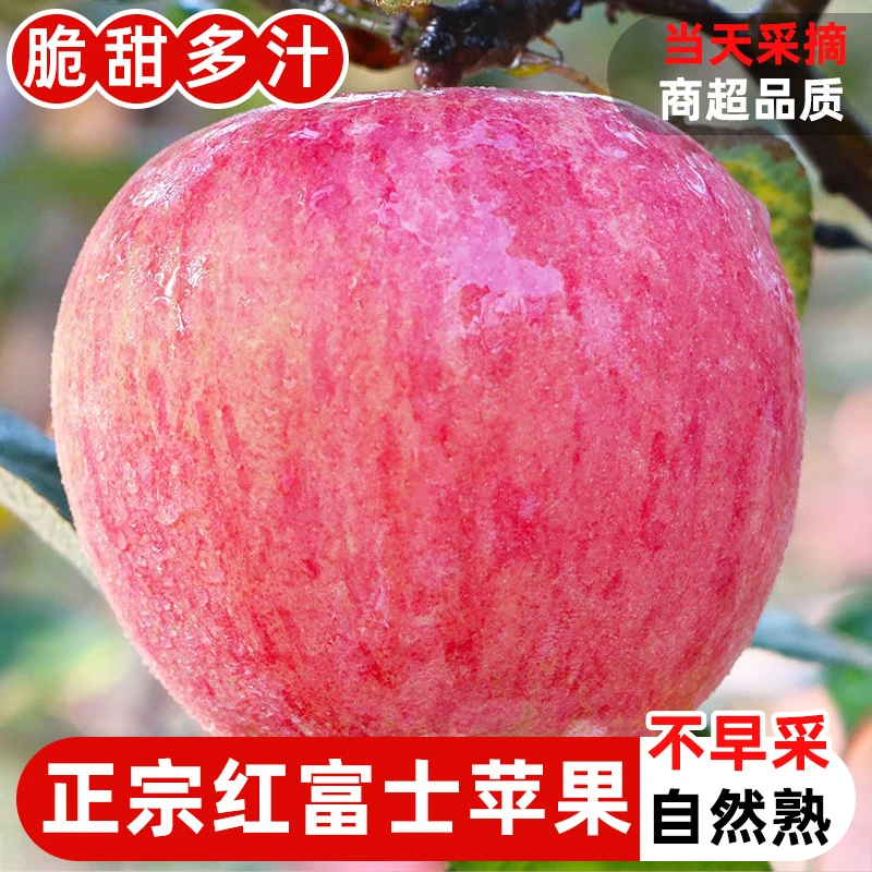 正宗陕西红富士苹果红富士苹果2/5/10斤产地直发现摘现发整箱包邮