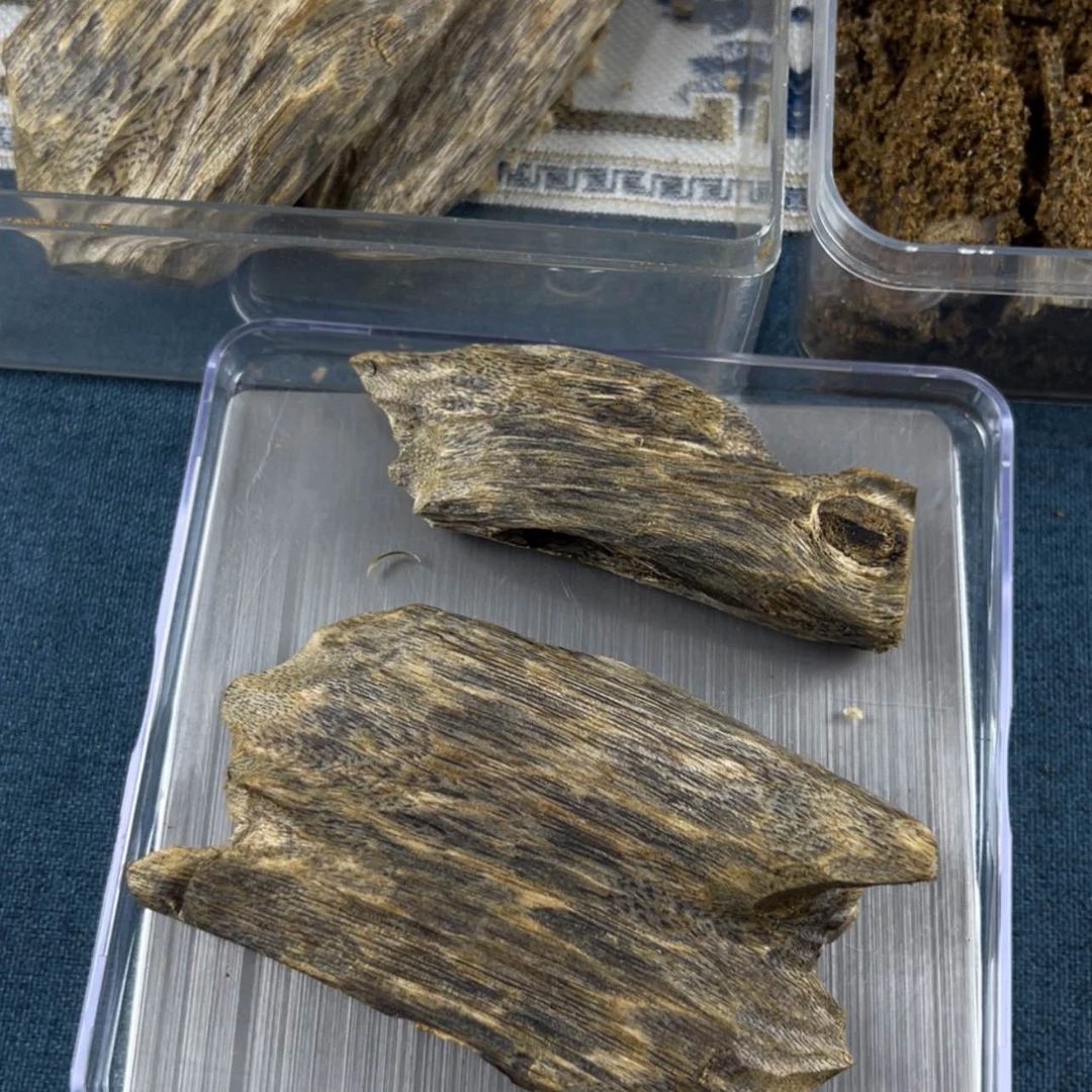 【闪购商品】木树脂制品苍*
