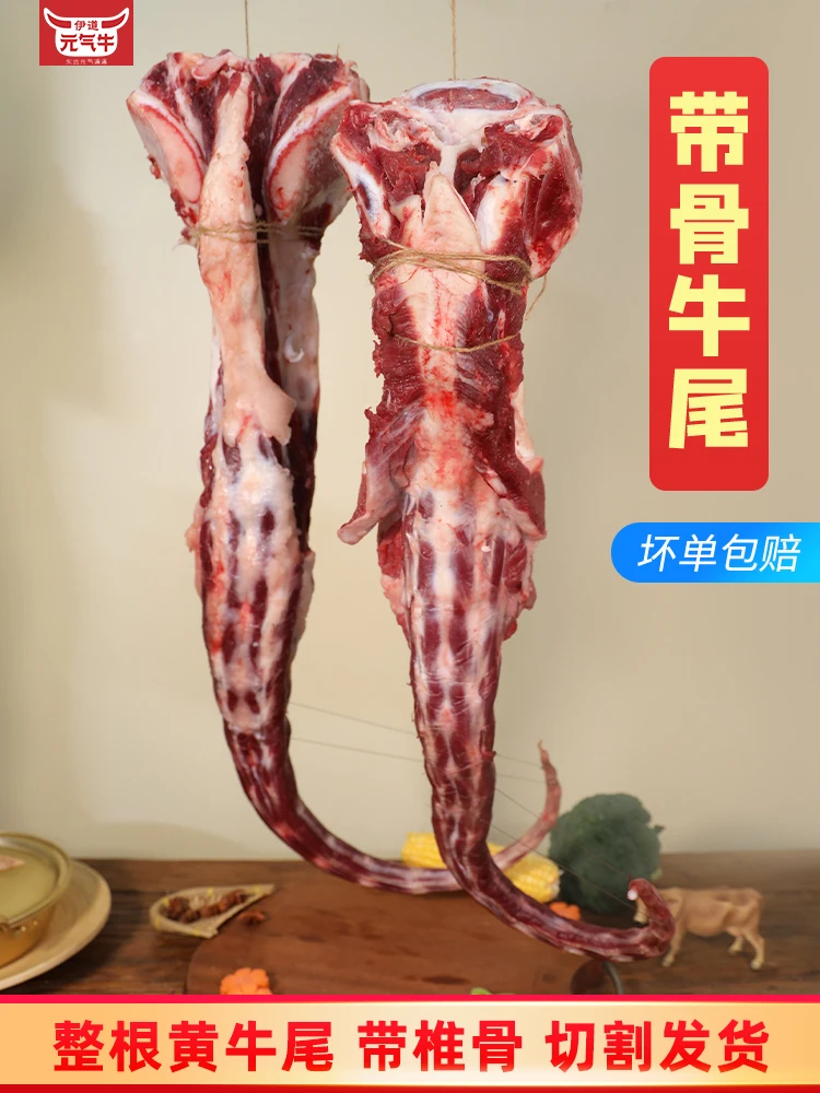 新鲜牛尾整根称重发货多退少补下播返清真生鲜牛尾巴散养
