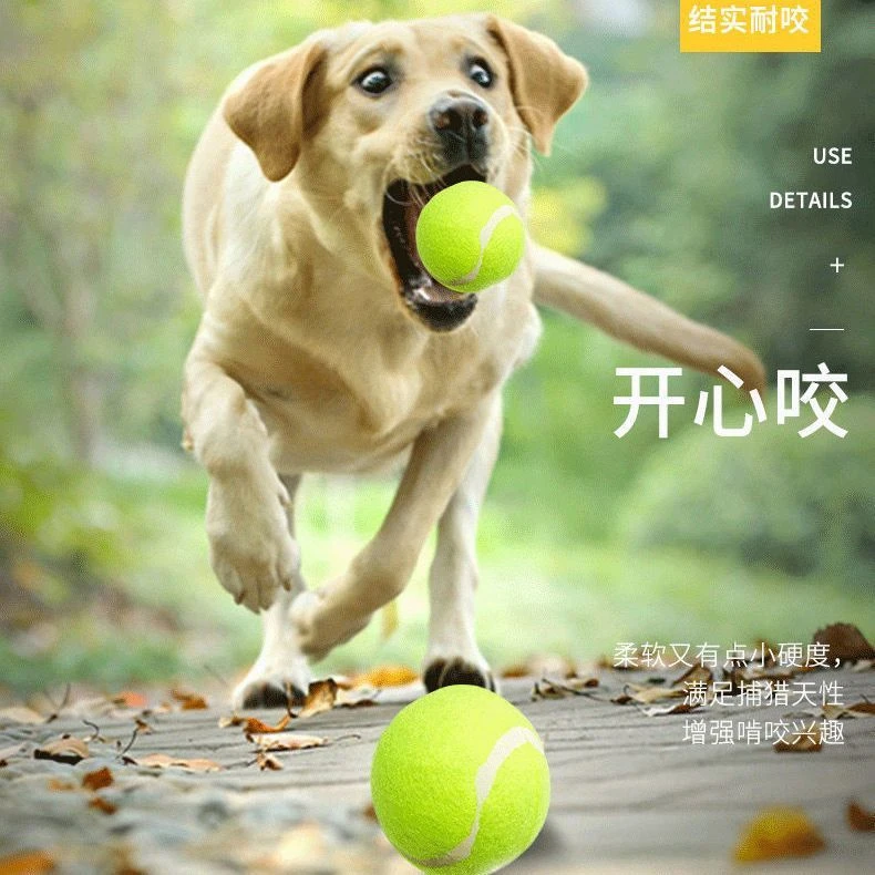 狗狗玩具球耐咬小狗狗幼犬户外球大型犬马犬磨牙弹力宠物狗训练球