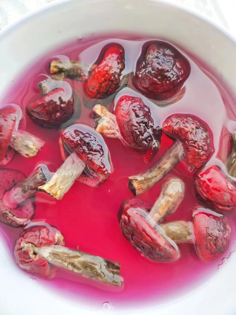 四都本地野生红菇