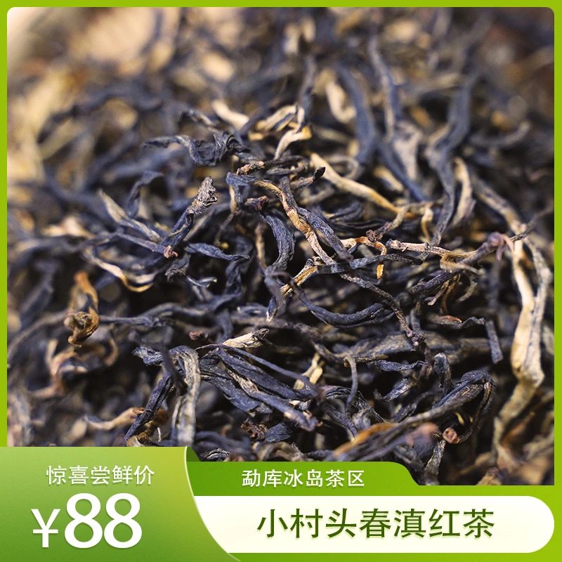 勐库春茶滇红茶2023年头春头采云南勐库冰岛茶区精品烤红高香高甜