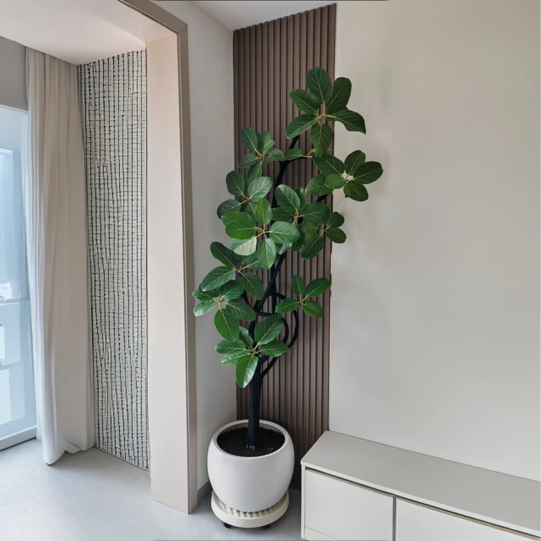 现代简约球形高温陶瓷花盆发财树金钱树散尾葵天堂鸟陶瓷花盆