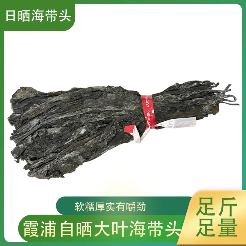 霞浦带头海带片挂晒海带片软糯鲜香煲汤清炒优质严选海洋好吃产品