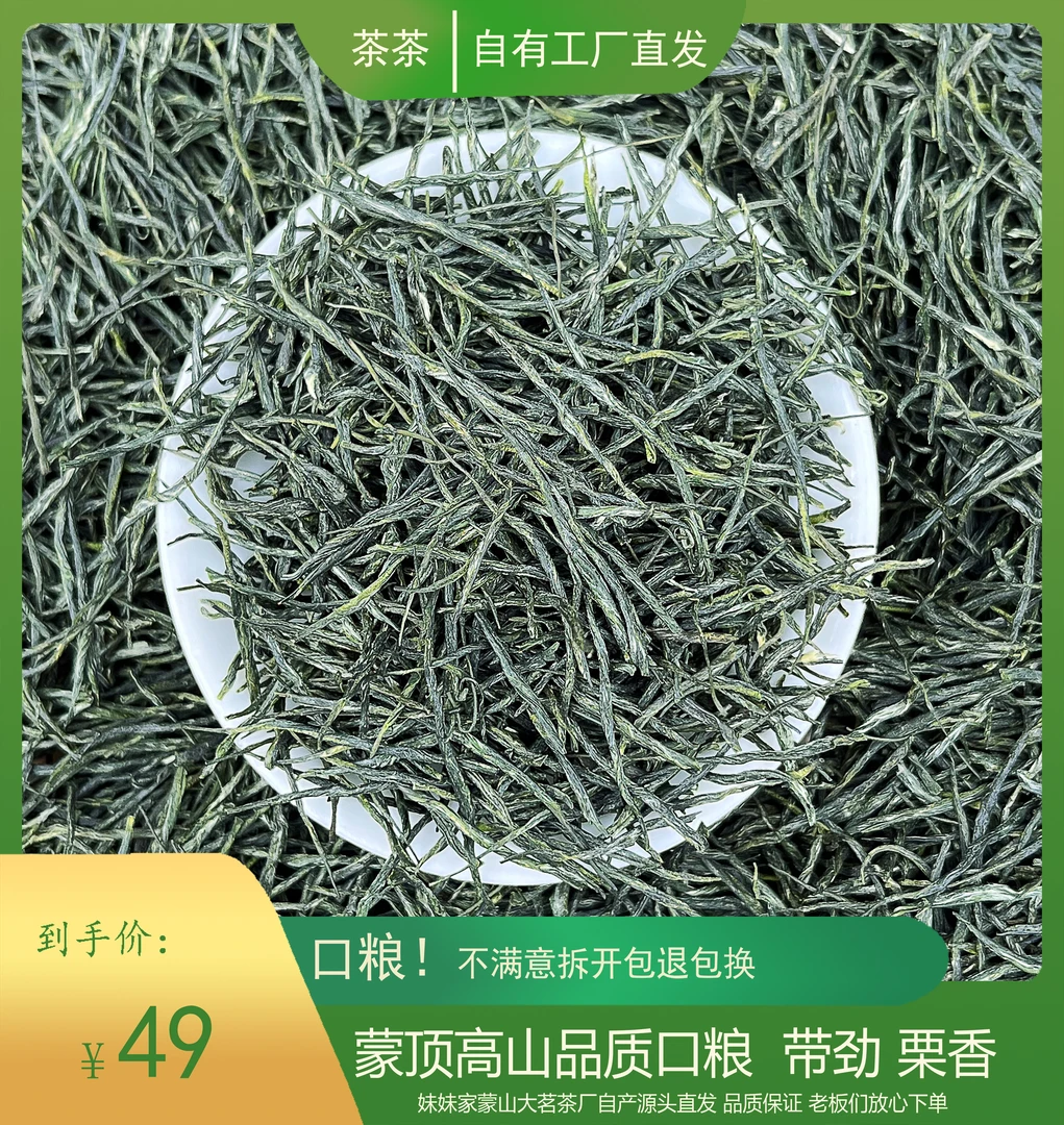 3号【口粮绿茶】新茶直发蒙顶高山云雾绿茶浓香茶叶耐泡毛尖口粮茶