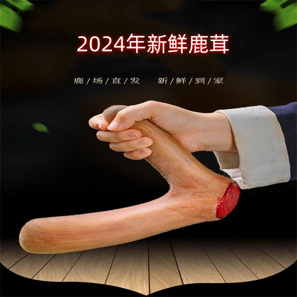 【鹿小妹精选】东北特产2025年营养新鲜梅花鲜鹿茸直播间选购