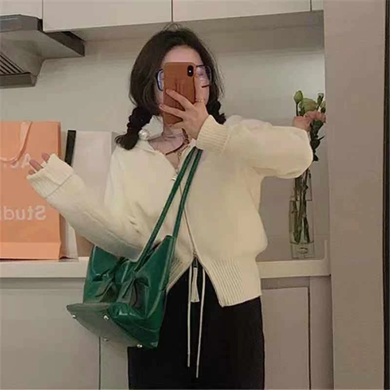 法式连帽针织衫2025春秋新款高级感开衫拉链毛衣女装外套短款上衣