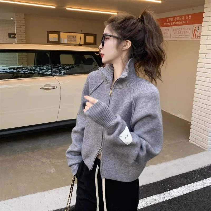 双向拉链针织开衫外套秋冬高级灰炸街别致立领毛衣女配卫裤的上衣