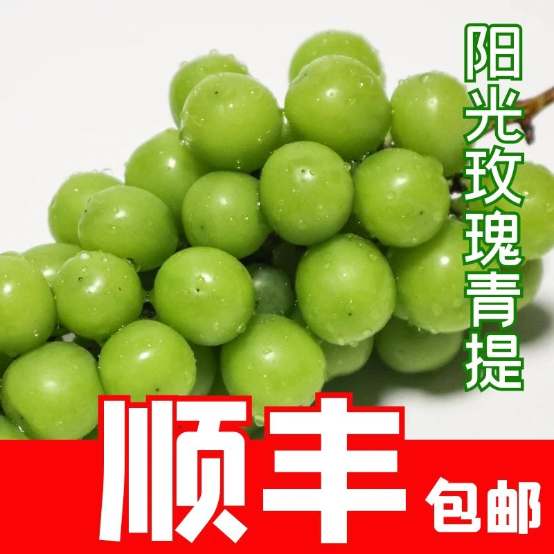 【顺丰包邮】中秋好礼 正宗阳光玫瑰葡萄新鲜水果 纯甜无籽