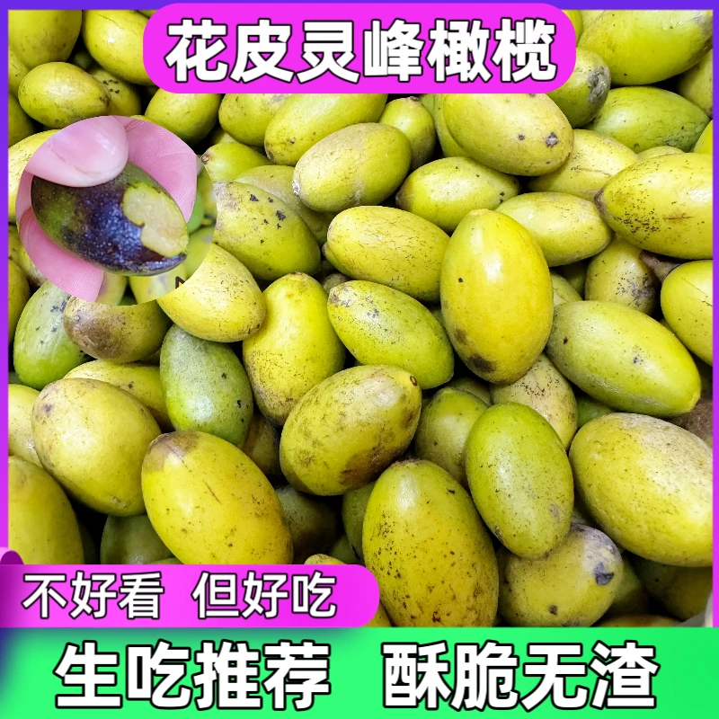 花皮灵峰橄榄酥脆无渣生吃煲汤泡酒新鲜橄榄酥甘香500克潮汕特产