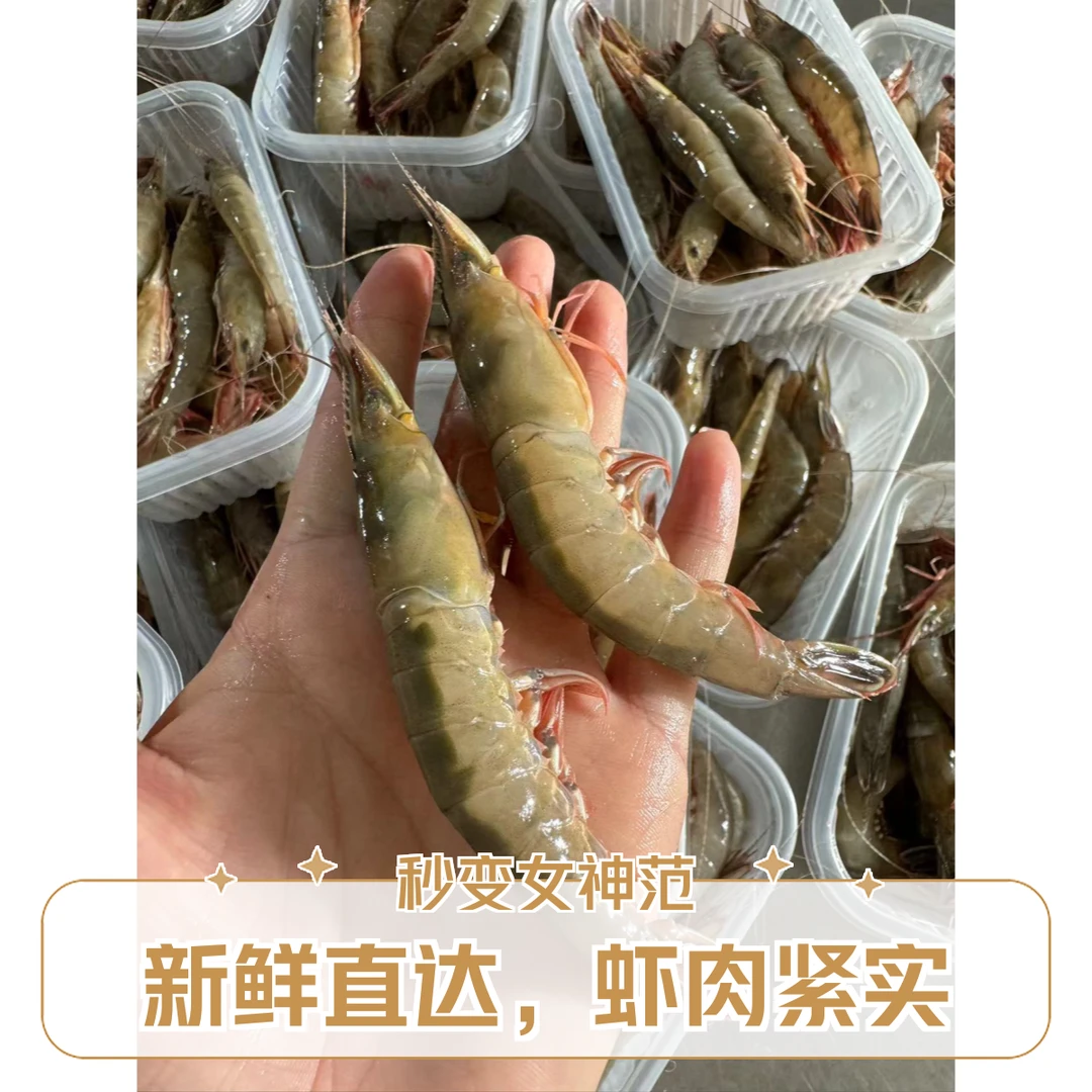 精挑大号野生海捕金钩虾滑皮虾剑虾