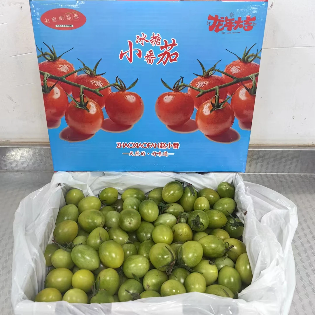 【冰糖小番茄】 青翠圣女果带箱2.8斤左右/箱 限太原六城区榆次可拍