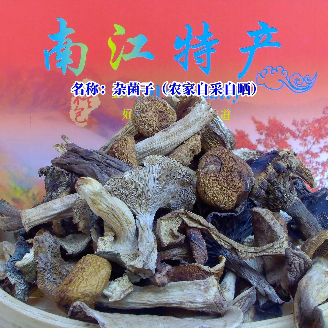 高山农家采摘干菌子【半斤，1斤包邮】