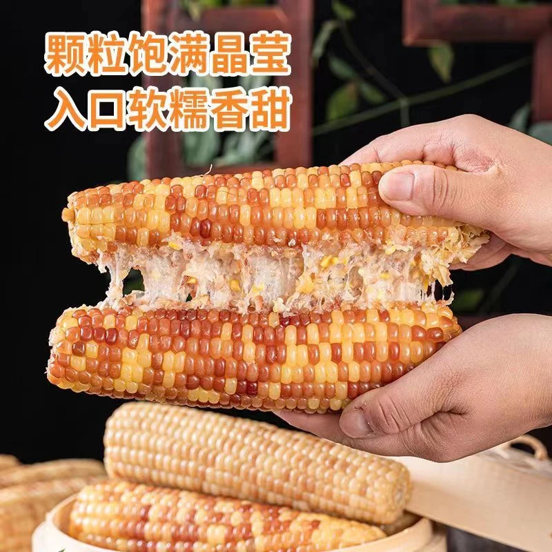 【直播专属】东北花香甜黏糯玉米【6斤以上】