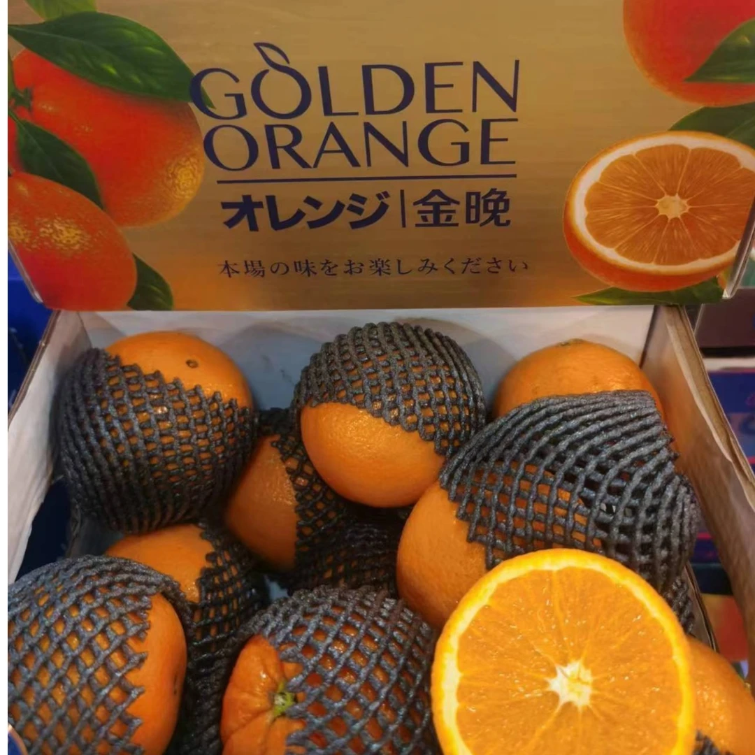 《水果弟推荐》高糖金晚橙  一箱4.5斤左右  产地湖北