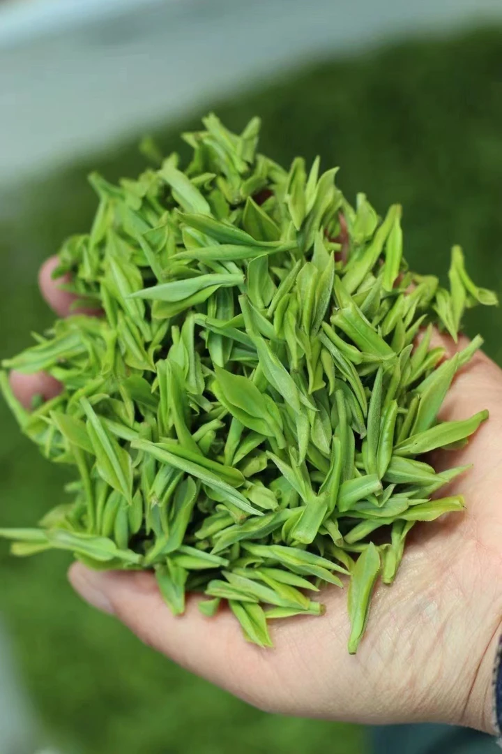 黄山毛峰二级，口感清香