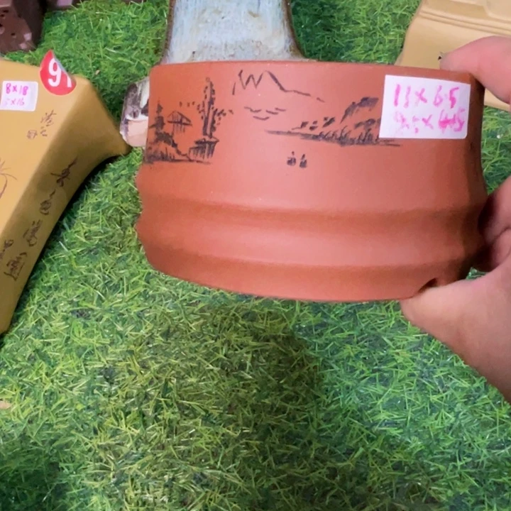 红陶20CM（含）-50CM（不含）