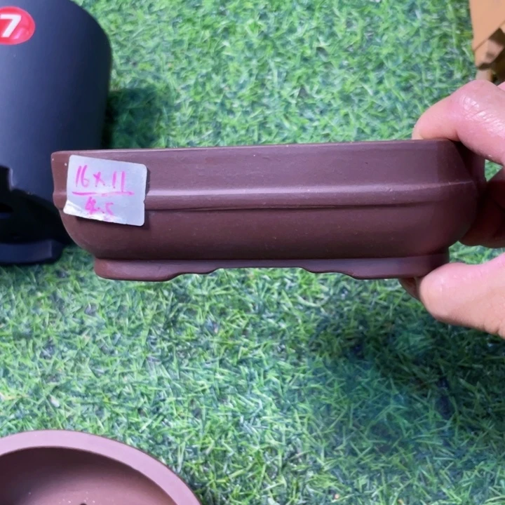 紫砂20CM（含）-50CM（不含）