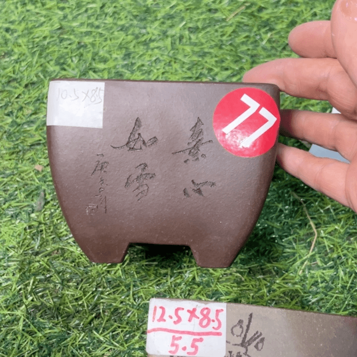 紫砂20CM（含）-50CM（不含）