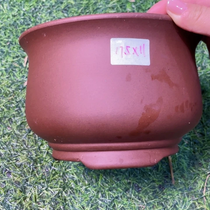 红陶20CM（含）-50CM（不含）