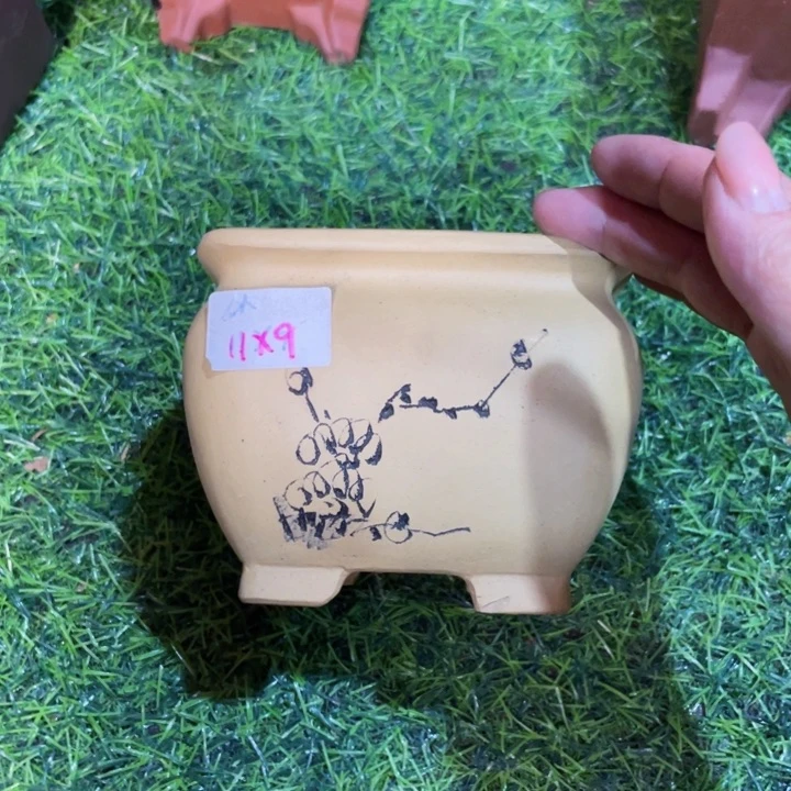 红陶20CM（含）-50CM（不含）