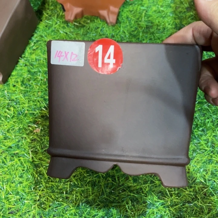 红陶20CM（含）-50CM（不含）