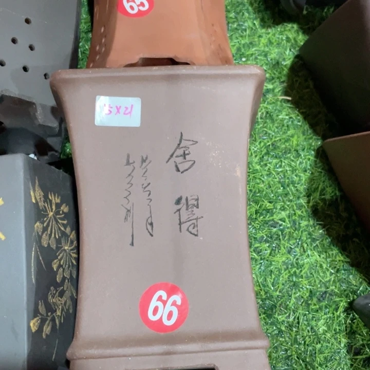 紫砂20CM（含）-50CM（不含）