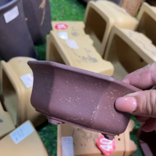 紫砂20CM（含）-50CM（不含）