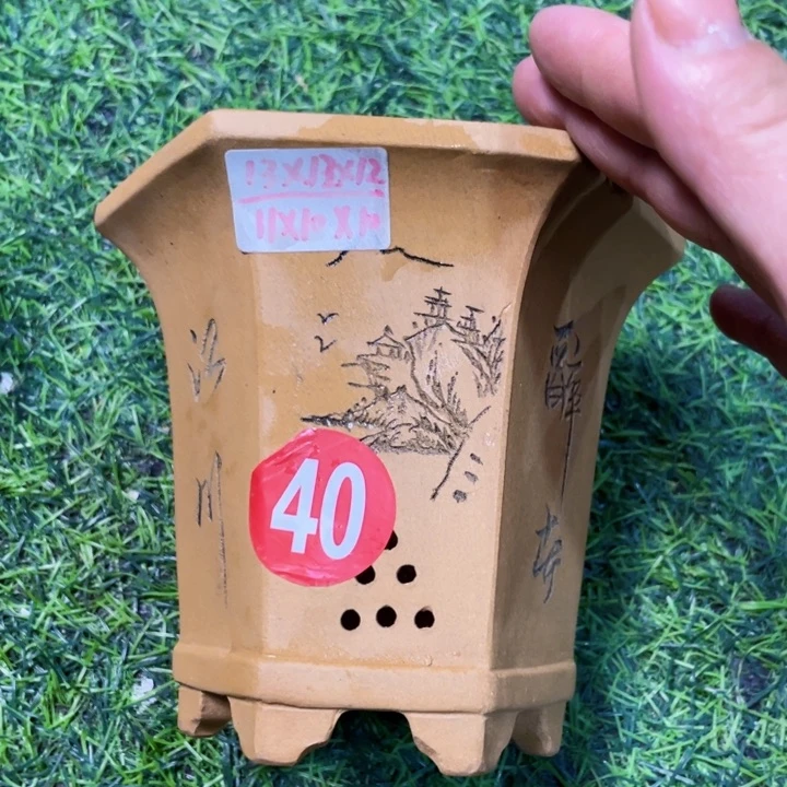 紫砂20CM（含）-50CM（不含）